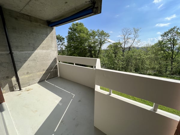 Urbanes Wohnen im Grünen: 2019 sanierte 1-Zimmerwohnung in Muttenz 5