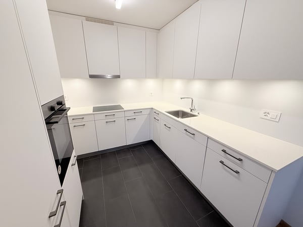 Urbanes Wohnen im Grünen: 2019 sanierte 1-Zimmerwohnung in Muttenz 1