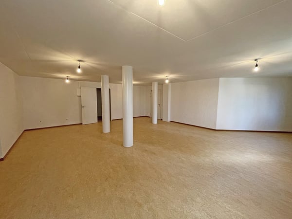 Moderner Gewerbe-/Hobby-/Büroraum mit Tageslicht Nähe Dreiländereck 3