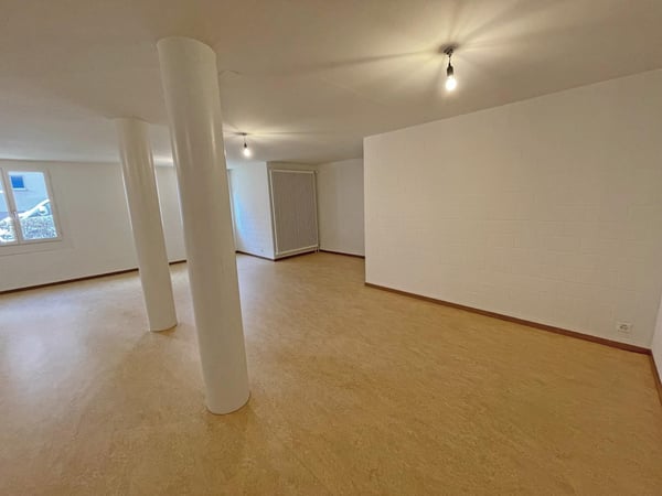 Moderner Gewerbe-/Hobby-/Büroraum mit Tageslicht Nähe Dreiländereck 2