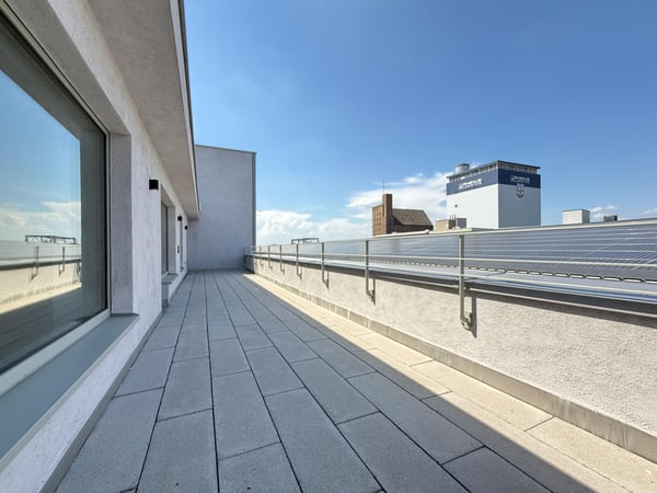 CoDeck: Cluster/WG-Wohnung im angesagten Hafen-Quartier 9