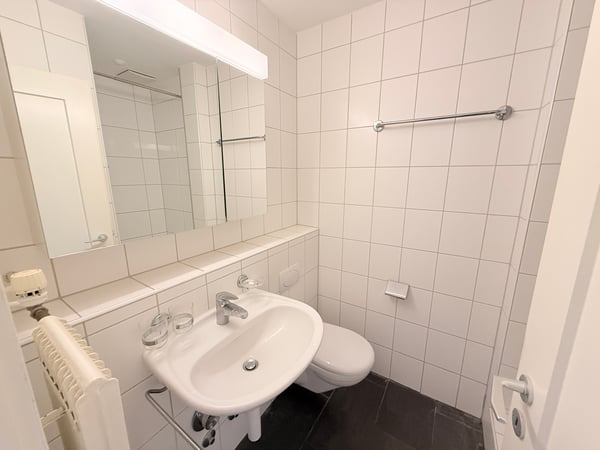 Nähe Kannenfeldpark in verkehrsberuhigter Seitenstrasse 3