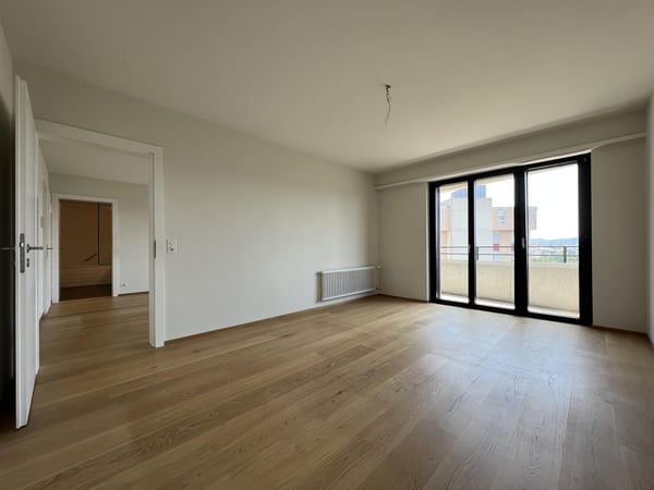 Lichtdurchflutetes Wohnjuwel über den Dächern von Basel 10