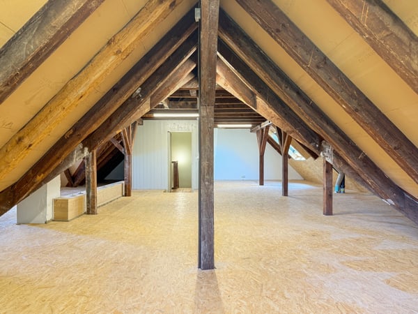 Exklusive 5.5-Zimmer-Dachwohnung direkt am Rhein 13
