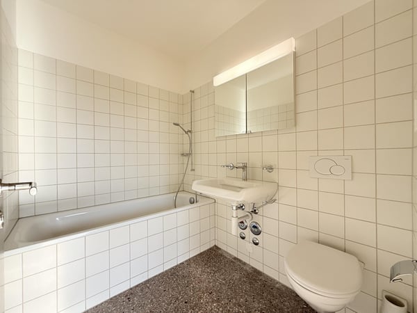 Exklusives Wohnen im Park ? Helle Minergiewohnung im Gellertquartier 11