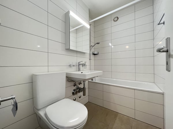 Lichtdurchflutete Wohnung mit Weitblick über Basel 3