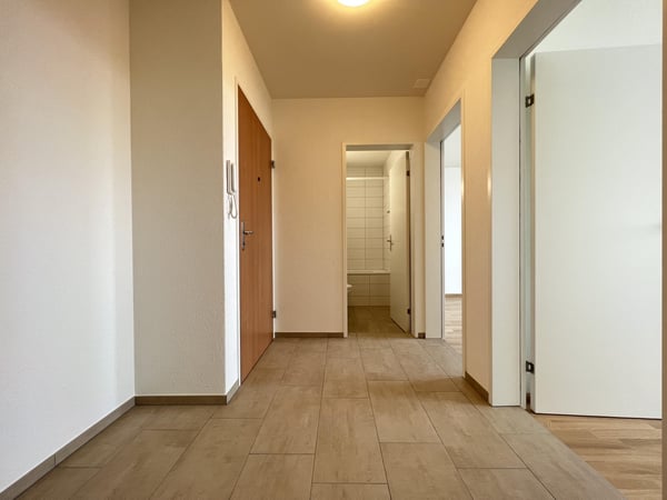 Lichtdurchflutete Wohnung mit Weitblick über Basel 2