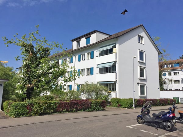 Idyllische, grüne Wohnlage an der Stadtgrenze zu Basel 2