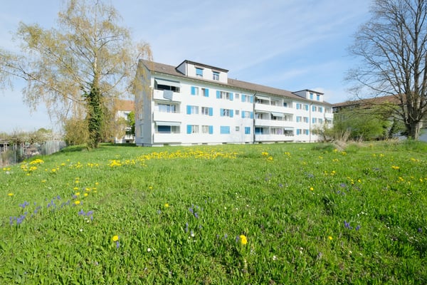 Aperçu de l'image de l'immobilier