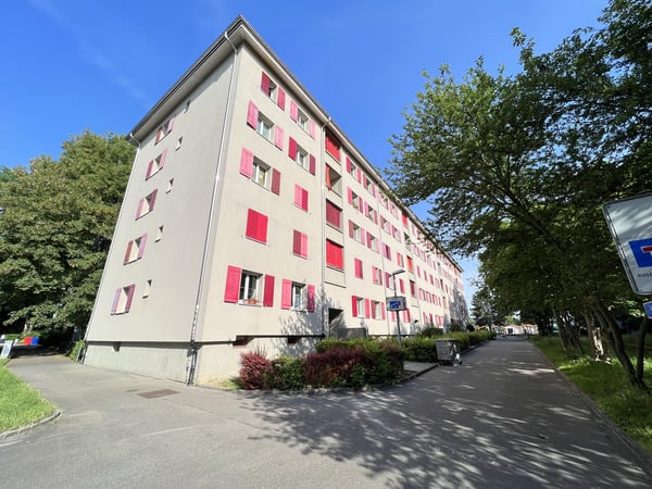 Zwischen Rhein, Birs und dem St. Albanteich 1