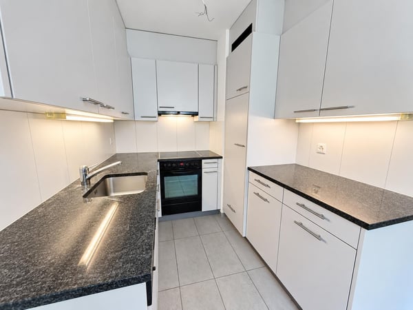 Gemütliche 1.0-Zimmerwohnung mit Balkon im Hirzbrunnen-Quartier 12