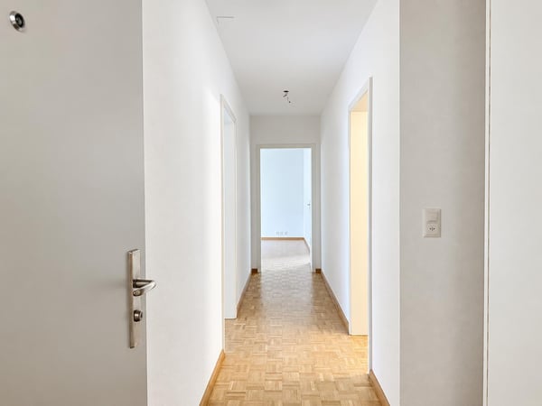 Gemütliche 1.0-Zimmerwohnung mit Balkon im Hirzbrunnen-Quartier 2