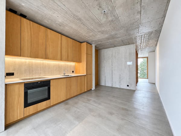 Modern im Sichtbetonstil Nähe Spalentor 3