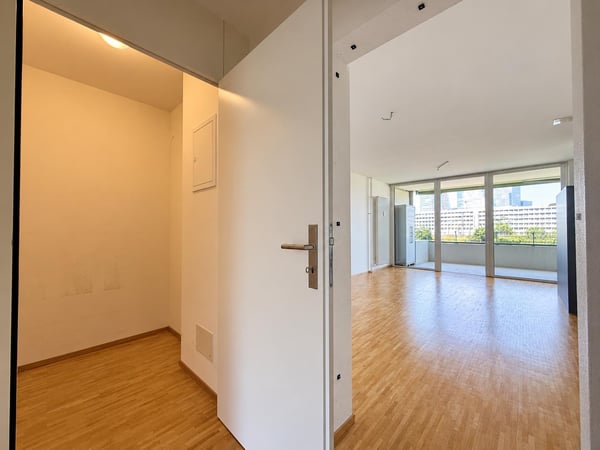 Moderne Wohnung mit grossem Balkon im beliebten Hirzbrunnen-Quartier 8