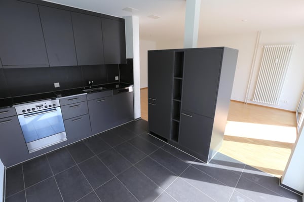Moderne Wohnung mit grossem Balkon im beliebten Hirzbrunnen-Quartier 13