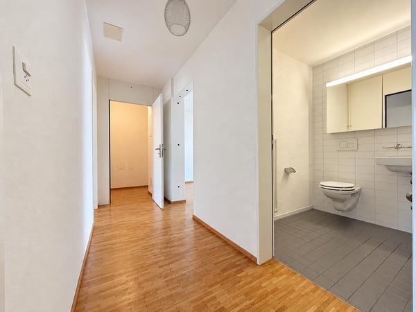 Moderne Wohnung mit grossem Balkon im beliebten Hirzbrunnen-Quartier 2