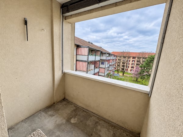 Verkehrsgünstige Stadtlage nähe Kannenfeldpark 6