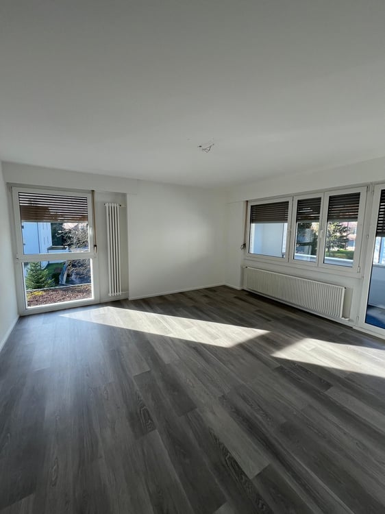 1 Zimmer-Wohnung, 2515 Selzach 1