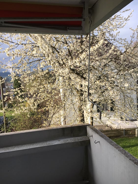 2 ½ Zimmer-Wohnung, 4512 Bellach 4