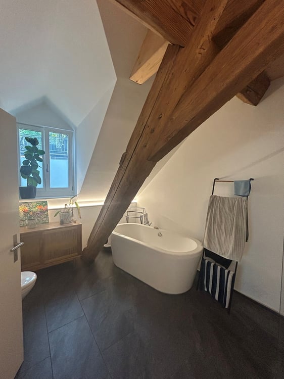 2 ½ Zimmer-Dachwohnung, 4500 Solothurn 7