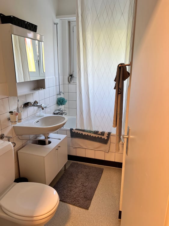 Sonnige 2.5 - Zimmer-Attikawohnung mit grosser Terrasse! 3