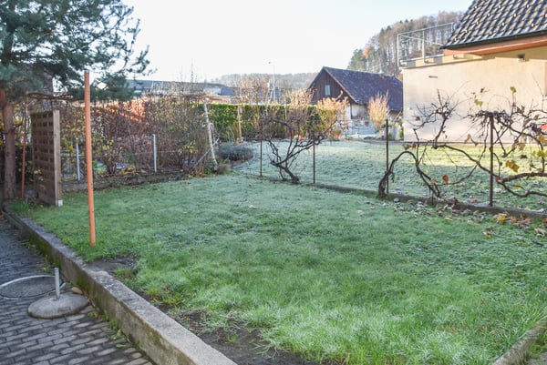 Seltene Gelegenheit: Zentral, sichtbar, vielseitig 10