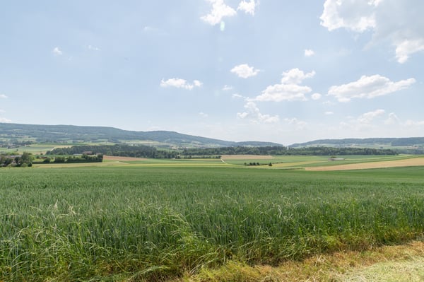 Seltene Baulandparzelle an unverbaubarer Dorfrandlage 3