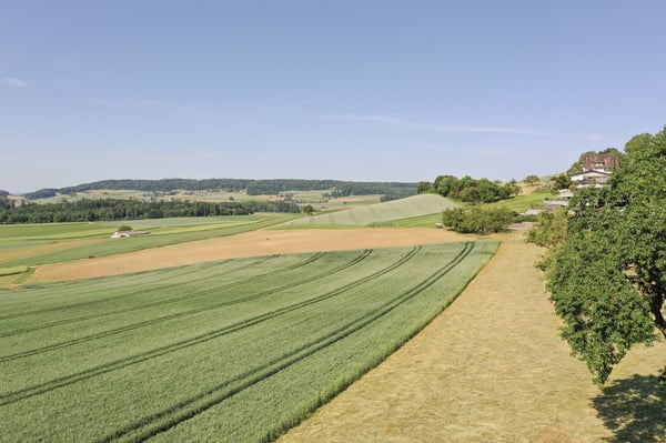 Seltene Baulandparzelle an unverbaubarer Dorfrandlage 7