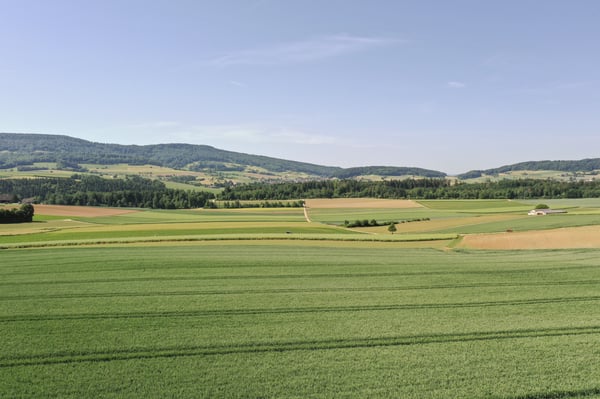 Seltene Baulandparzelle an unverbaubarer Dorfrandlage 1