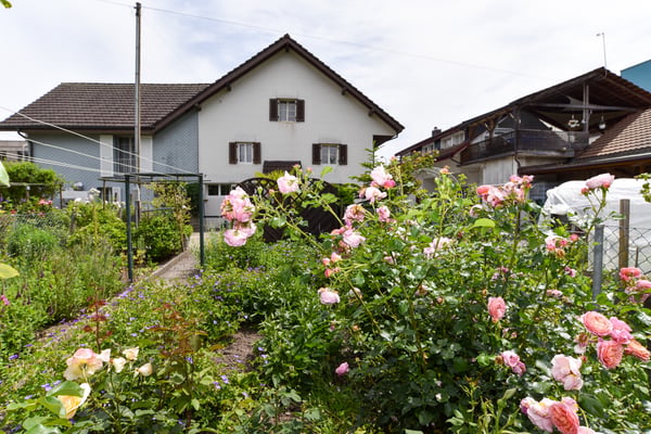 Preiswertes Haus zum Renovieren an zentraler Lage 2