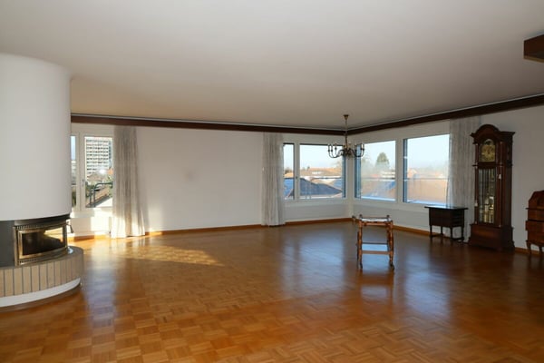 1.5-Zimmer Attikawohnung 4