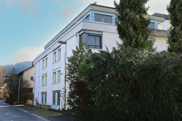 1.5-Zimmer Attikawohnung 2