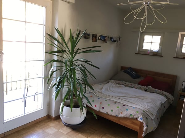 1.5-Zimmerwohnung mit Balkon und herrlichem Sitzplatz 4