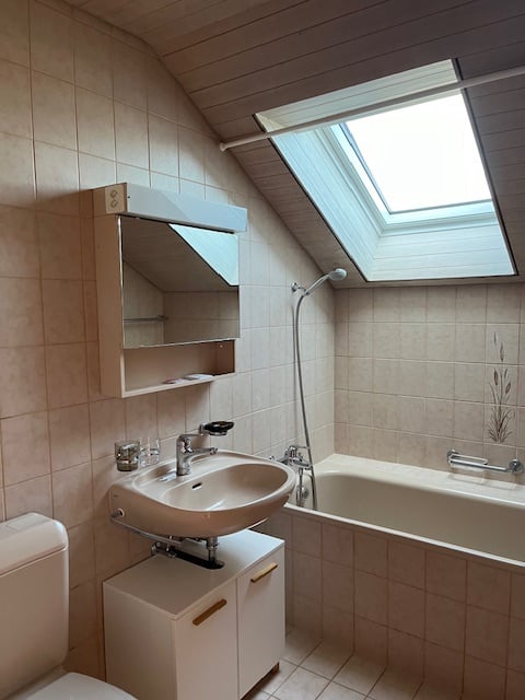 Singlewohnung zum Wohlfühlen 10