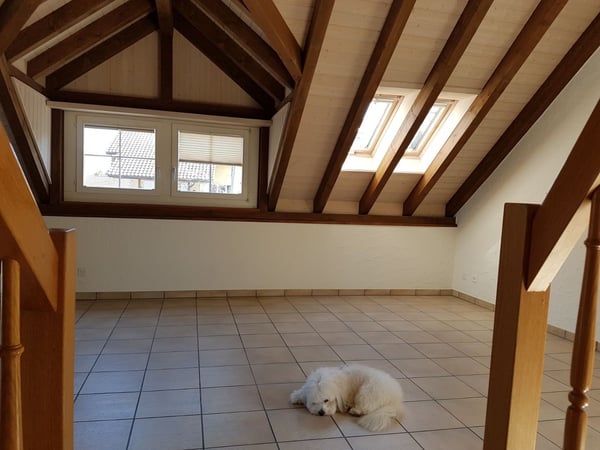 6.5-Zimmer-Dachwohnung in Haus mit viel Charme 6