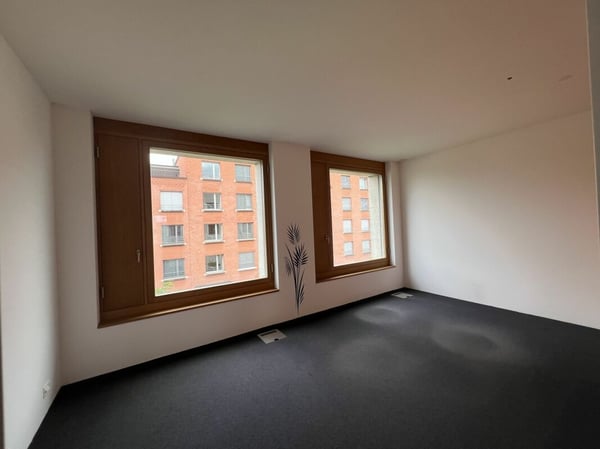 Zentrale Gewerbefläche mit Extra-Optionen 3