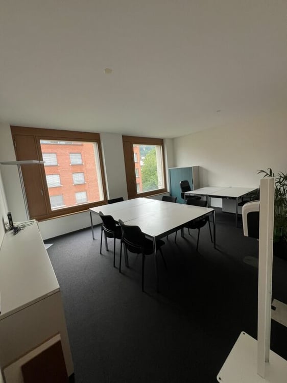 Zentrale Gewerbefläche mit Extra-Optionen 9