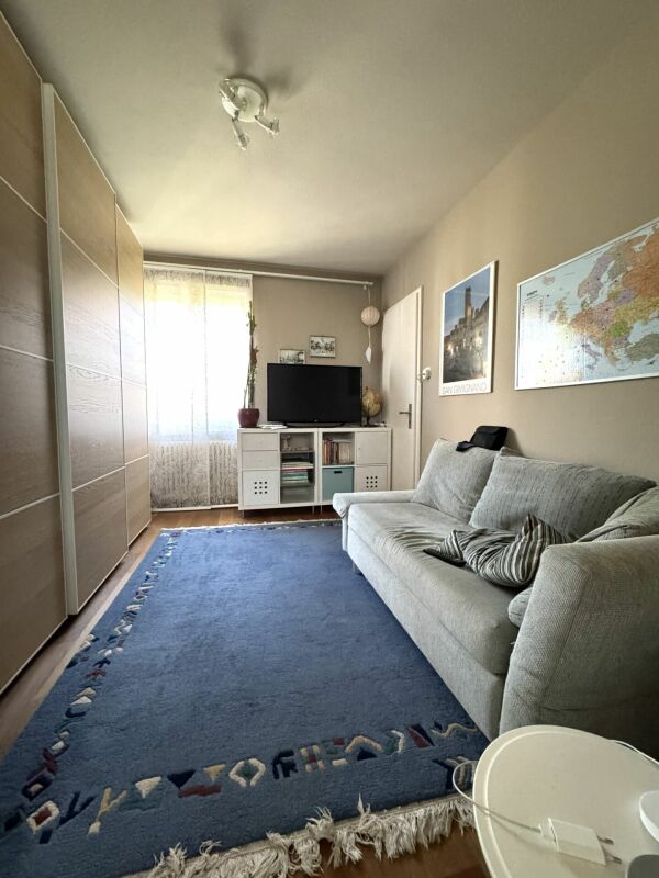 Sehr gepflegtes und renoviertes 6 1/2 Zimmer - Einfamilienhaus zu verkaufen Kopie