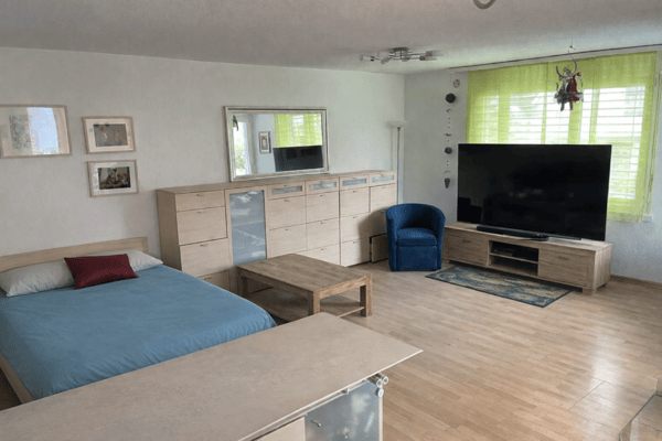 Viel Platz für Familie, Leben und Genuss - 7.5-Zimmer-Maisonette in Gränichen 2