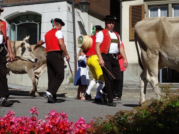 Zu verkaufen Mehrfamilienhaus - mit 5 Wohneinheiten, 1 Geschäftsraum, Garten, PP. 19