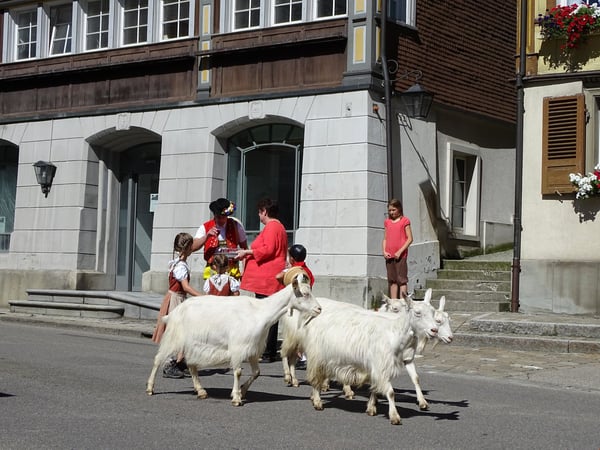 Zu verkaufen Mehrfamilienhaus - mit 5 Wohneinheiten, 1 Geschäftsraum, Garten, PP. 21