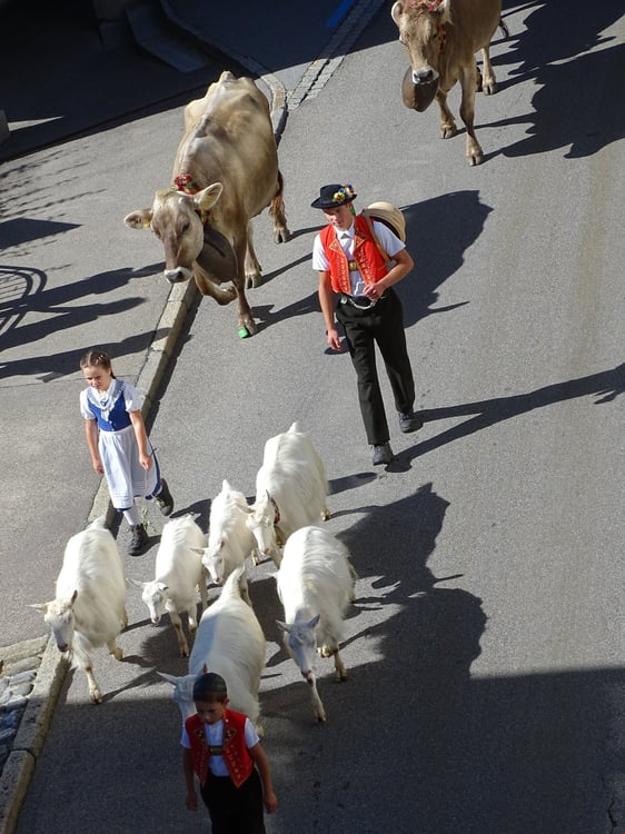 Zu verkaufen Mehrfamilienhaus - mit 5 Wohneinheiten, 1 Geschäftsraum, Garten, PP. 20