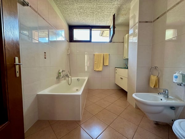 Proprietà con due unità, giardino e garage 6