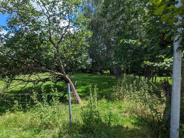 Bauland in idyllischer Umgebung zu verkaufen 3