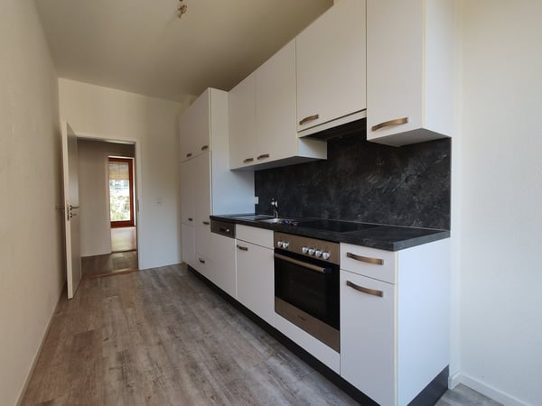 Zu vermieten 3-Zimmer-Wohnung in einem stilvollen Jugendstilhaus an der Dornacherstrasse 133 9