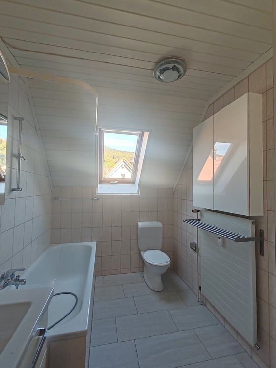 Frisch renovierte 4-Zimmer-Maisonette mit Birsblick in Grellingen 6