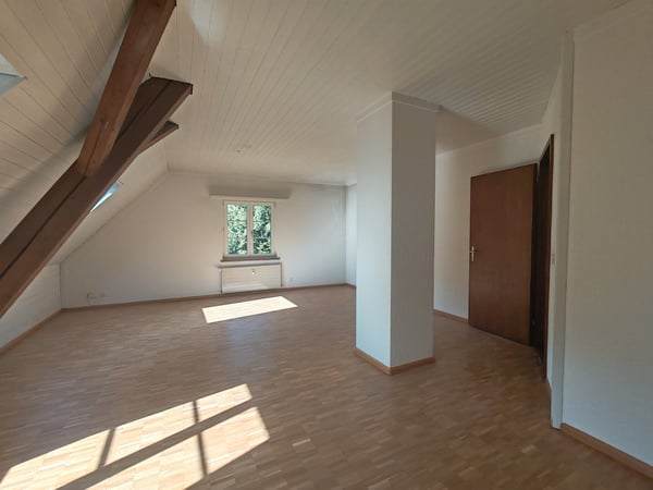 Frisch renovierte 4-Zimmer-Maisonette mit Birsblick in Grellingen