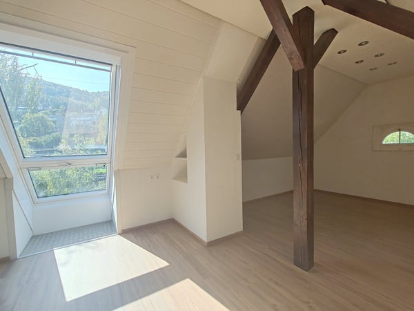 Frisch renovierte 4-Zimmer-Maisonette mit Birsblick in Grellingen 9