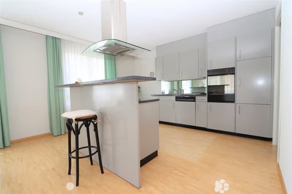 Zentral gelegene und grosszügige 4.5-Zimmerwohnung 1