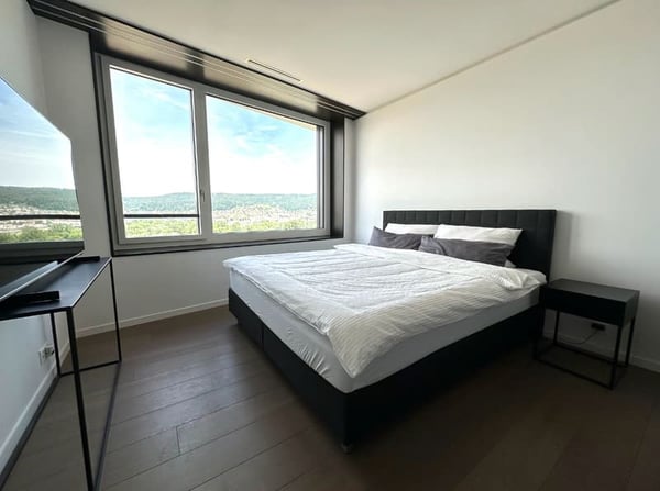 Helle 3.5-Zimmer-Wohnung mit Balkon und Garage in Dietikon 4